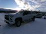 2020 Silver /Black Chevrolet Silverado 2500HD LT Crew Cab Short Box 4WD (1GC4YNE75LF) with an 6.6L V8 OHV 16V engine, 6A transmission, located at 2630 Philips Field Rd., Fairbanks, AK, 99709, (907) 458-0593, 64.848068, -147.780609 - Photo#0