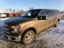 2017 Brown Ford F-150 XLT SuperCrew 5.5-ft. Bed 4WD (1FTFW1EG4HK) with an 3.5 V6 engine, 6A transmission, located at 2630 Philips Field Rd., Fairbanks, AK, 99709, (907) 458-0593, 64.848068, -147.780609 - Photo#0