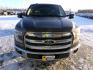 2017 Brown Ford F-150 XLT SuperCrew 5.5-ft. Bed 4WD (1FTFW1EG4HK) with an 3.5 V6 engine, 6A transmission, located at 2630 Philips Field Rd., Fairbanks, AK, 99709, (907) 458-0593, 64.848068, -147.780609 - Photo#1