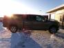 2017 Brown Ford F-150 XLT SuperCrew 5.5-ft. Bed 4WD (1FTFW1EG4HK) with an 3.5 V6 engine, 6A transmission, located at 2630 Philips Field Rd., Fairbanks, AK, 99709, (907) 458-0593, 64.848068, -147.780609 - Photo#2